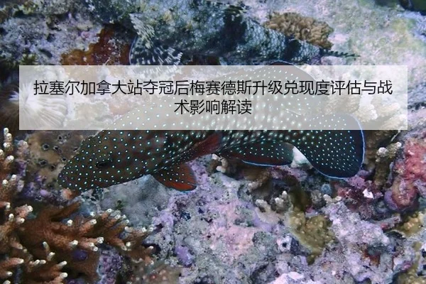 拉塞尔加拿大站夺冠后梅赛德斯升级兑现度评估与战术影响解读