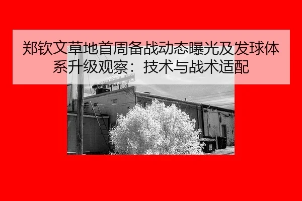 郑钦文草地首周备战动态曝光及发球体系升级观察：技术与战术适配