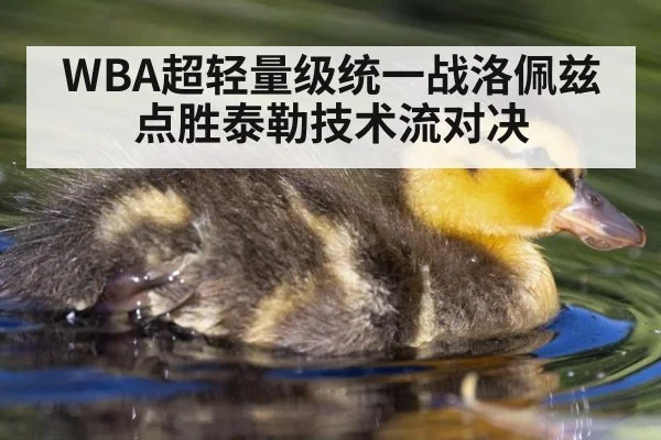 WBA超轻量级统一战洛佩兹点胜泰勒技术流对决